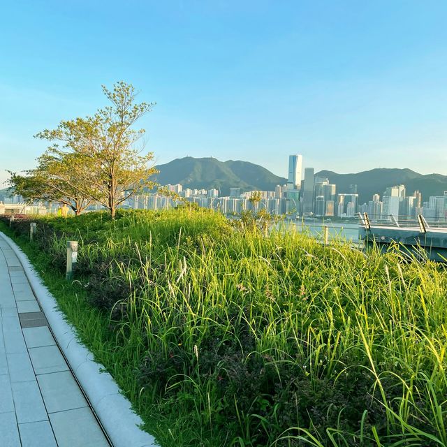 啟德郵輪碼頭公園