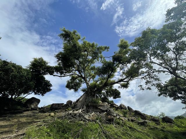 香港後花園之下白泥