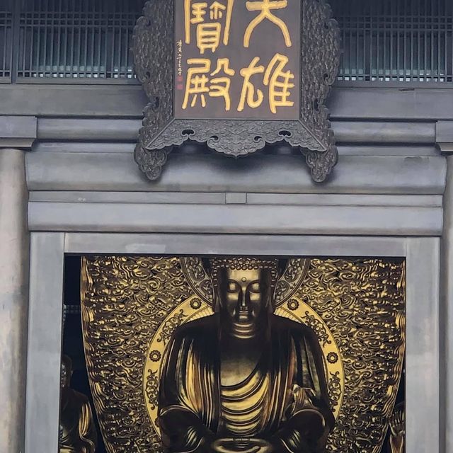 大埔地標慈山寺🙏🏻放假好去處‼️了解佛教之地