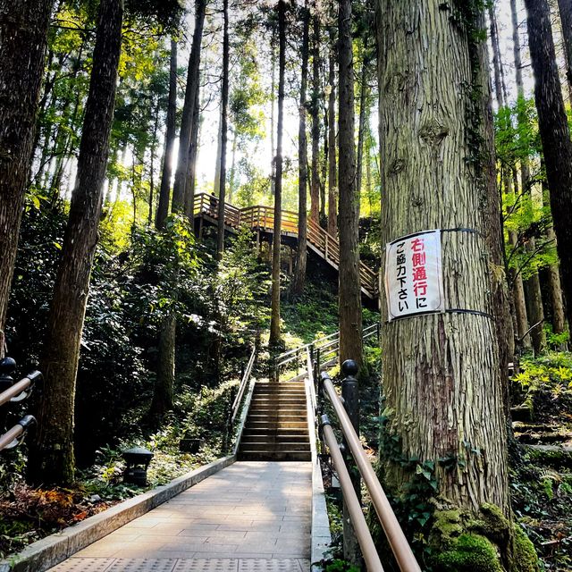 【熊本県】水のカーテンでマイナスイオンを浴びる！