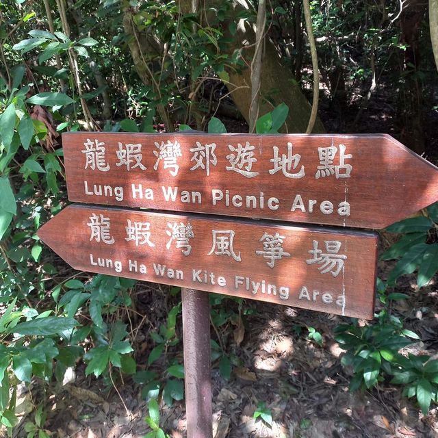 龍蝦灣海邊大草地