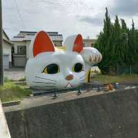 愛知県！常滑市の見まもり猫｢とこにゃん｣