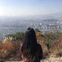 서울 근교 피크닉 ✨ 용마산, 아차산 등산기!