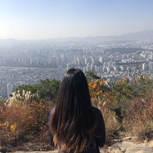 서울 근교 피크닉 ✨ 용마산, 아차산 등산기!