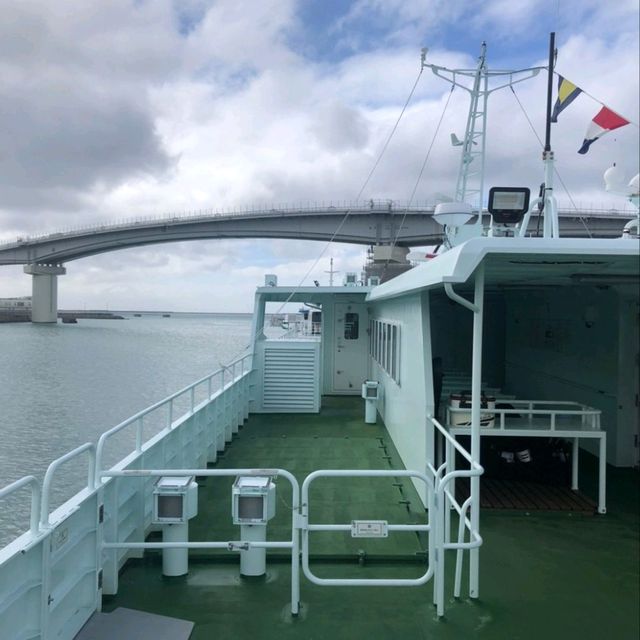 【沖縄 那覇】フェリーで慶良間諸島へ✨