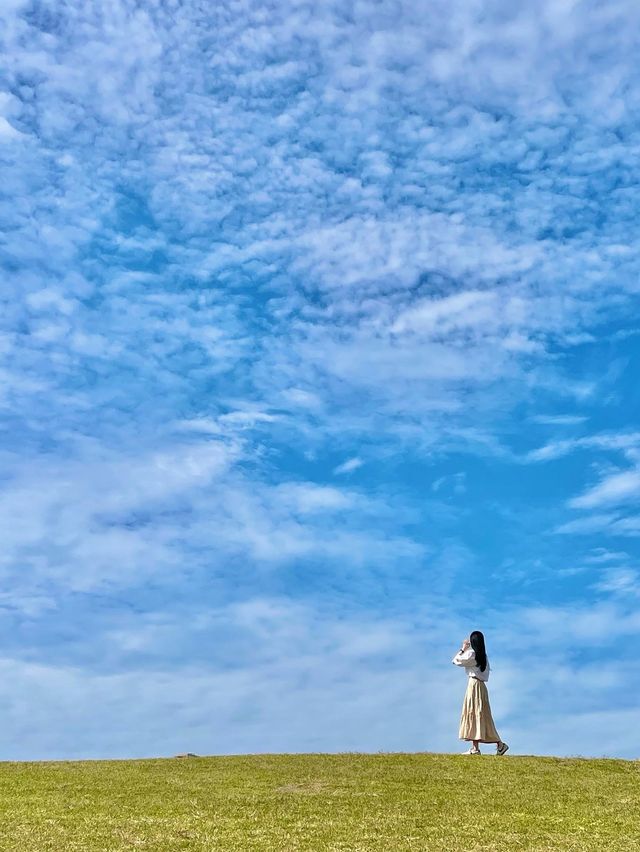 서울 올림픽공원의 메인 나홀로나무🌳 