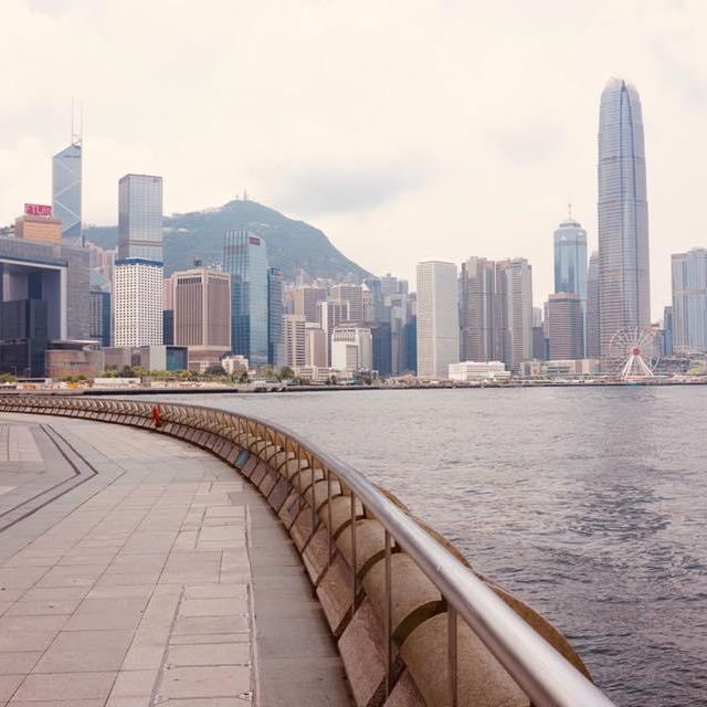 The Golden Bauhinia Square