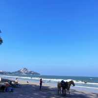 ชิวๆริมชายหาด สวนสนประดิพัทธ์ 