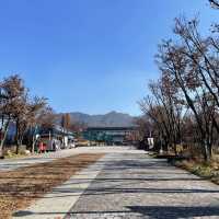 단풍 보며 데이트 하기 좋은 명소, 서울 대공원