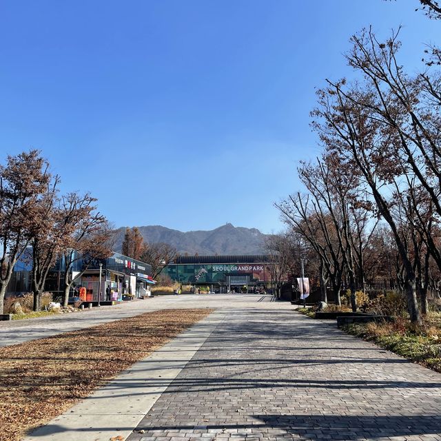 단풍 보며 데이트 하기 좋은 명소, 서울 대공원