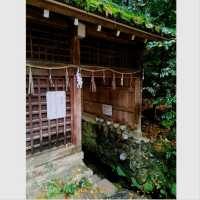 日本最古の神社　世界遺産　宇治上神社