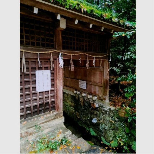 日本最古の神社　世界遺産　宇治上神社