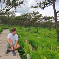_+_+_อุทยานแห่งชาติป่าหินงาม_+_+_🐈🐾