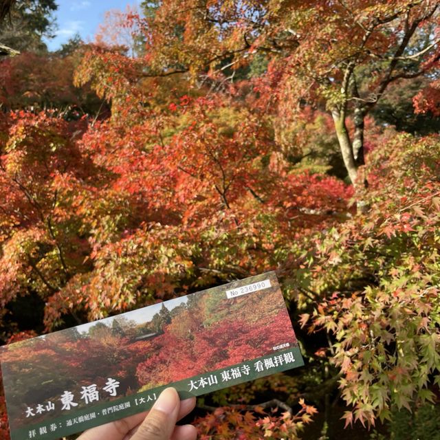 【京都府】通天橋から望む絶景の紅葉