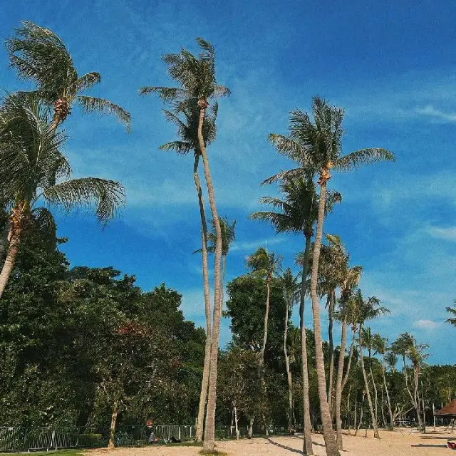 Moments at Tanjong Beach, Singapore