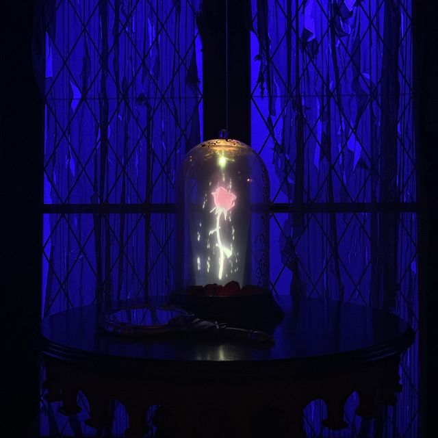 디즈니월드 Be Our Guest 레스토랑 ✨