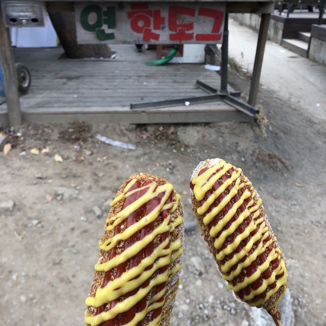 [양평 가볼만한 곳]두물머리🤍연핫도그