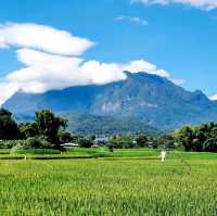 ดอยหลวงเชียงดาว​ ⛰️