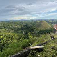 Chocolate Hills only In Bohol, Philippines. 