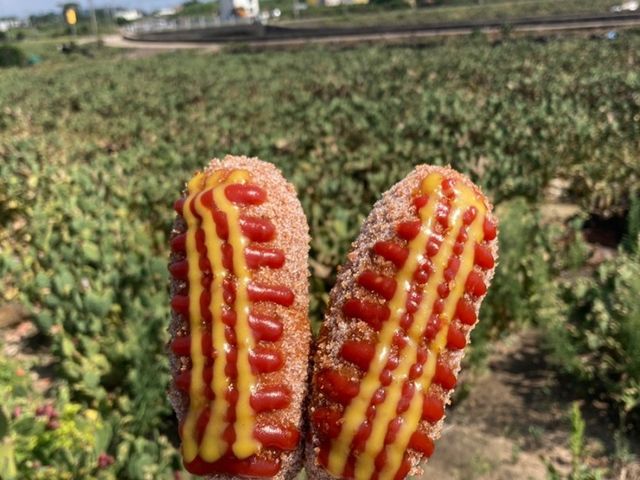 판포포구 맛집 '두물머리 연핫도그'