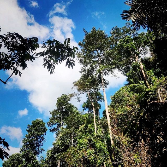 Gunung Berembun