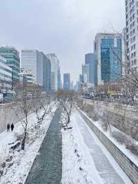 눈이 펑펑오는 날 서울의 모습 ❄️ 