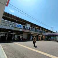 【兵庫県 明石市】季節の花咲く明石駅🌸🌸🌸