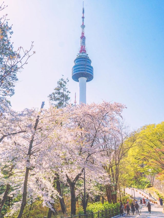 서울 단골 드라마 촬영지는 이 곳, N서울타워🗼