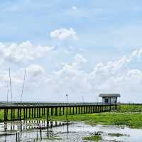 ทะเลน้อย