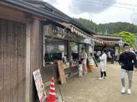 マイナスイオンたっぷり『白糸の滝』