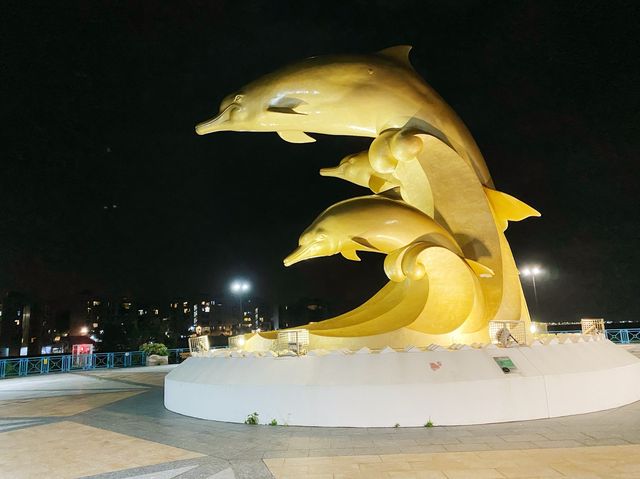 夜遊海豚廣場