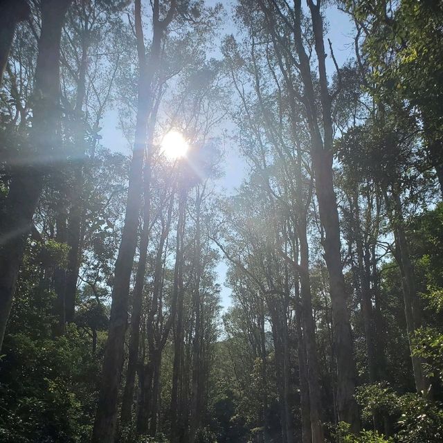 “城門水塘”看山林水塘美景~ 😎