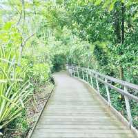 Labrador Nature Reserve, Singapore