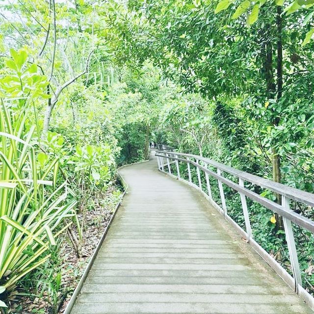 Labrador Nature Reserve, Singapore