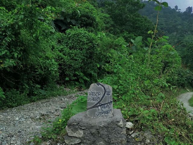 Shiva jatta, Dharan