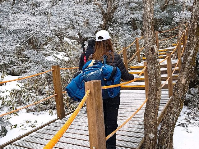 겨울 한라산