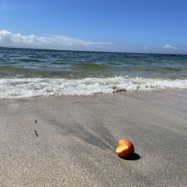 【神奈川県】透き通った海と白砂のたたら浜