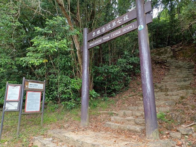 麥理浩徑第7段～針山