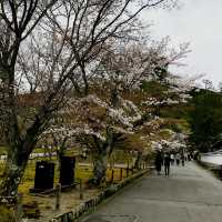 【京都奥地に潜む!?レトロ水路閣】in左京区