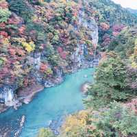 日塩もみじライン【栃木県/日光市】