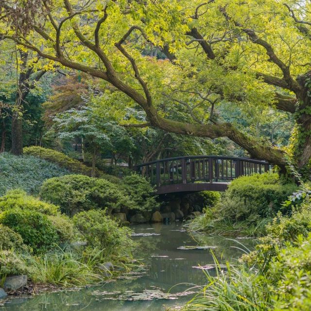 💚초록색빛 가득한 외국느낌의 아름다운 정원 [경주, 엑스포대공원 비밀의정원]