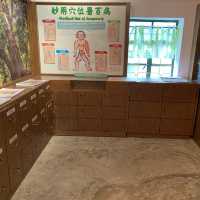 親子行山好去處👣 烏絞騰->三亞村->荔枝窩