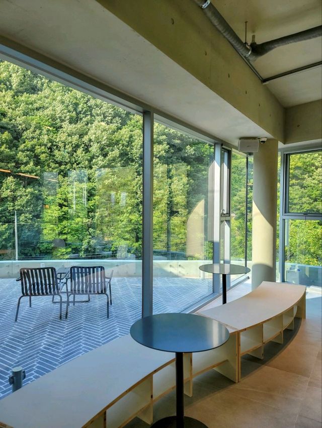 단풍시즌이면 더 예쁠 포레스트뷰, 양산카페 아미드포레🍁🍂