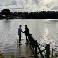 what a good memories at Daylesford