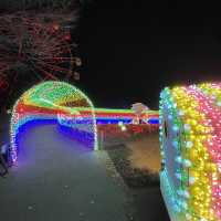 【千葉県】煌めく虹のトンネルを楽しむ！