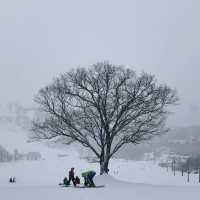 Exciting and adrenaline pumped skiing