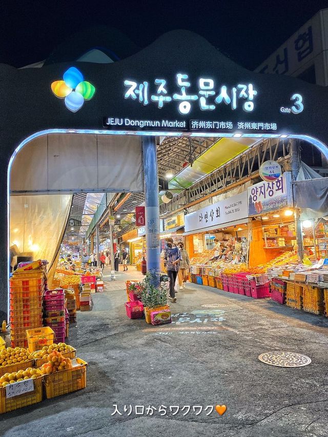 【済州島】活気と熱気がすごい‼️済州の人々のくらしと韓国を感じる市場🇰🇷