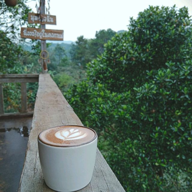 ไปจิบกาแฟแลภูเขาบ้านปางขอนที่ไร่กาแฟครอบครัวมะ