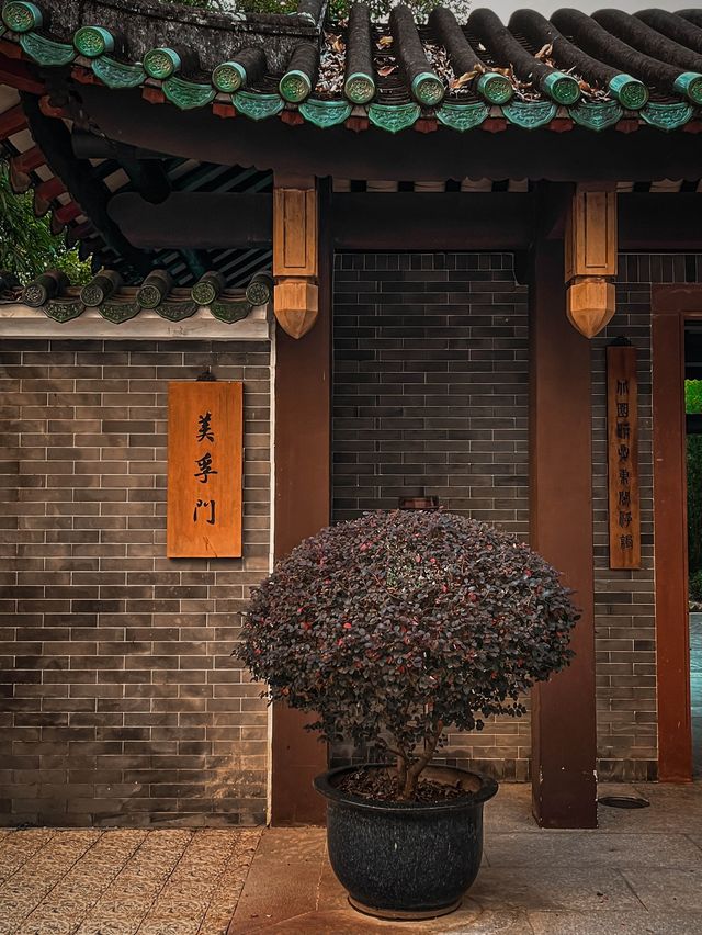 美孚也能賞楓葉🍁 非一般嘅親子活動✨