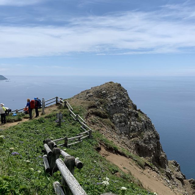 北海道　花の島　礼文島